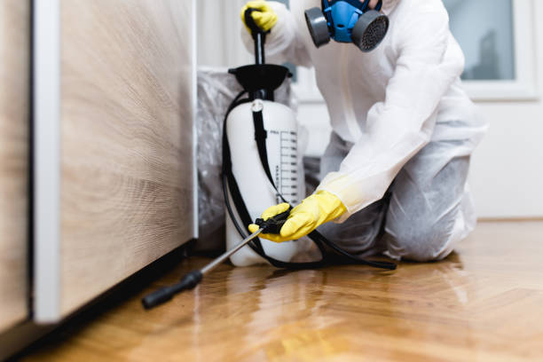 Best Wasp Removal Services  in Roman Forest, TX