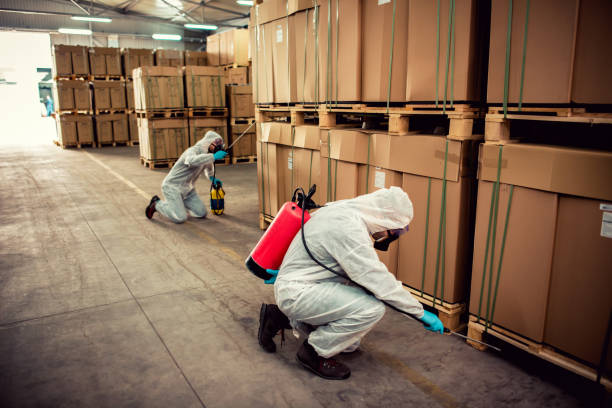 Best Local Pest Control Services  in Roman Forest, TX