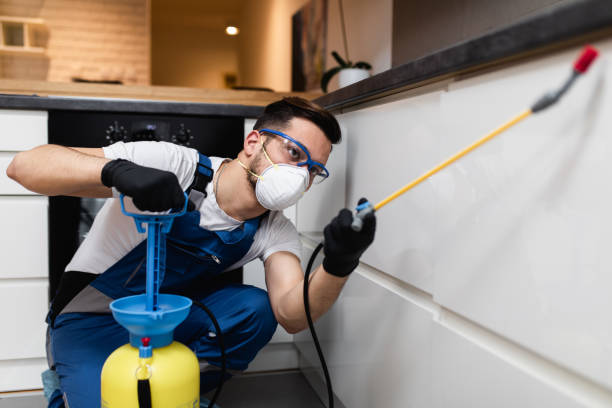 Best Bed Bug Extermination  in Roman Forest, TX