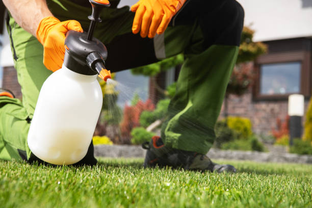 Best Residential Pest Control  in Roman Forest, TX