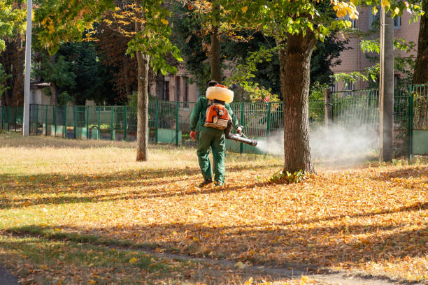 Best Rodent Control Near Me  in Roman Forest, TX