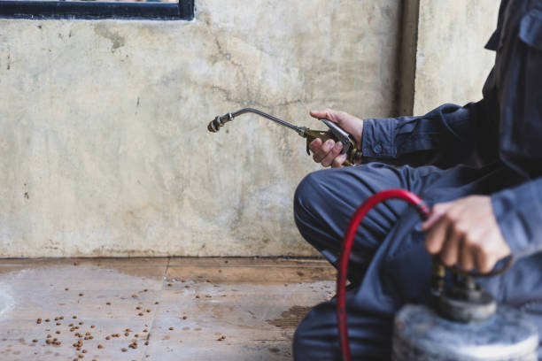 Pest Prevention Services in Roman Forest, TX